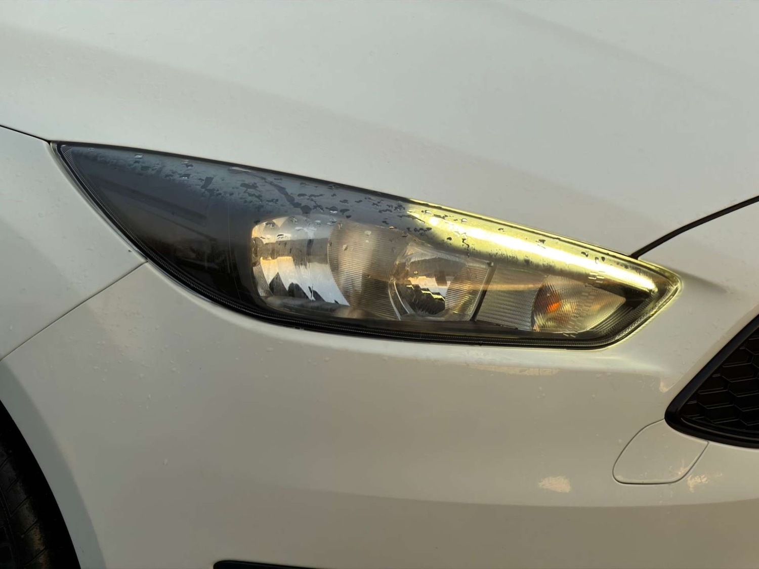 Used Ford Focus 2018 for sale - 77437619: Photo 74