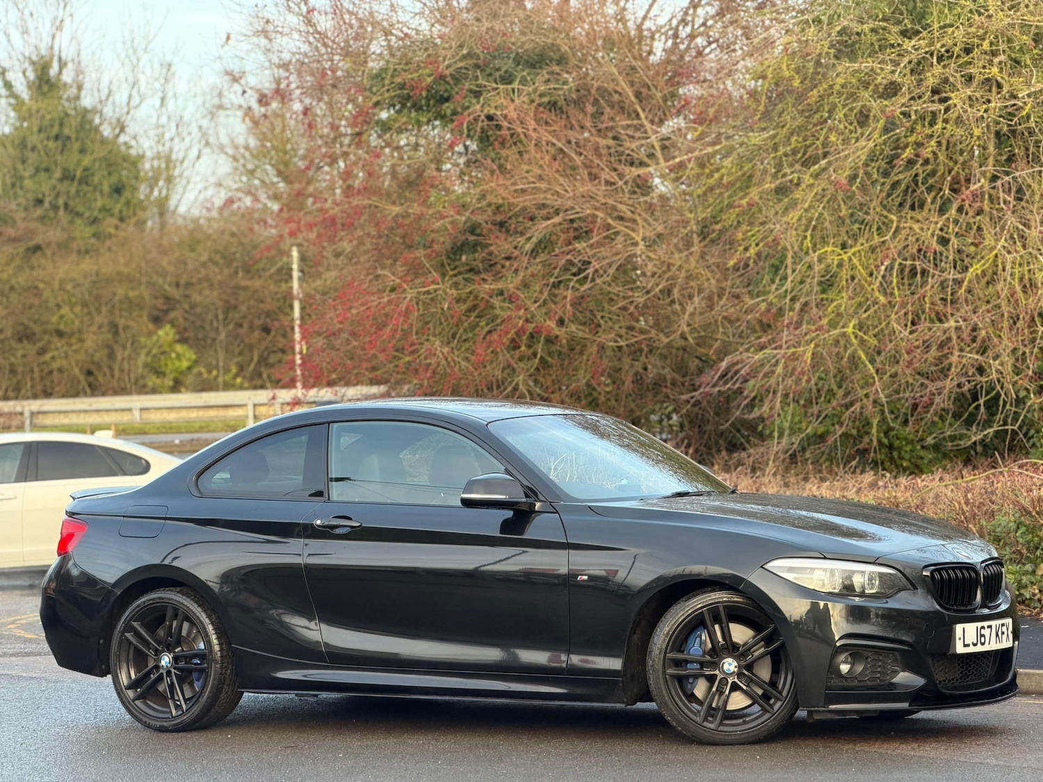 Used BMW 2 Series 2020 for sale - 77437629: Photo 14