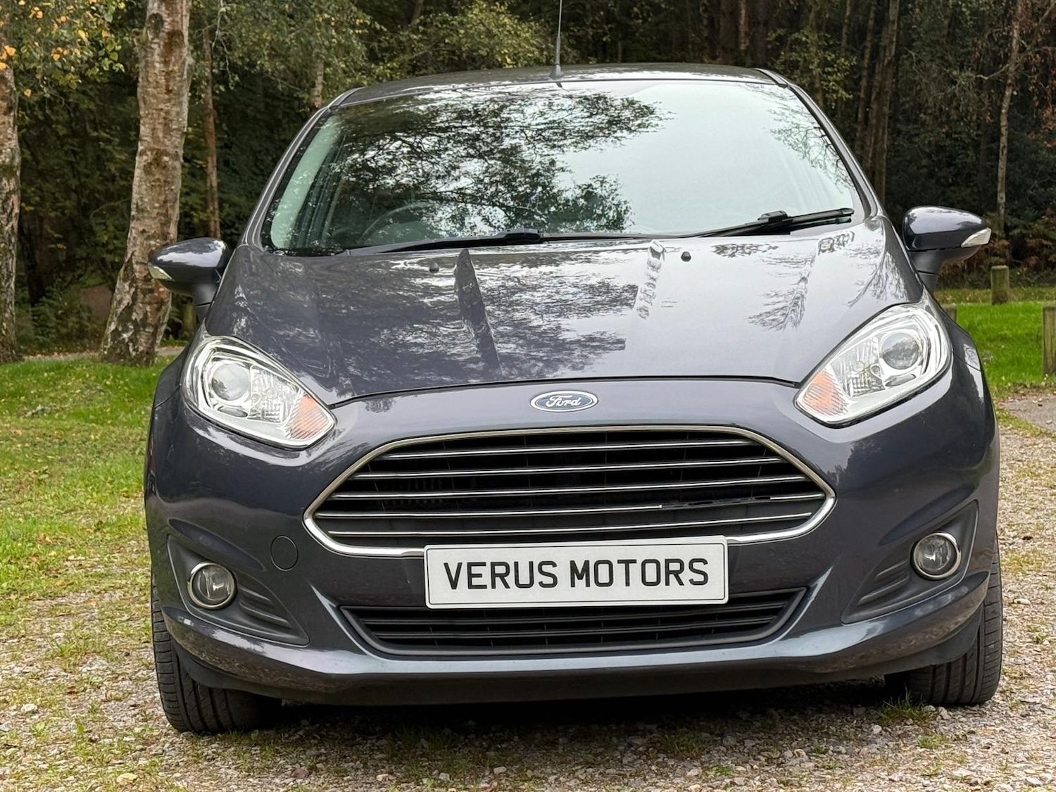 Used Ford Fiesta 2014 for sale - 76092266: Photo 10