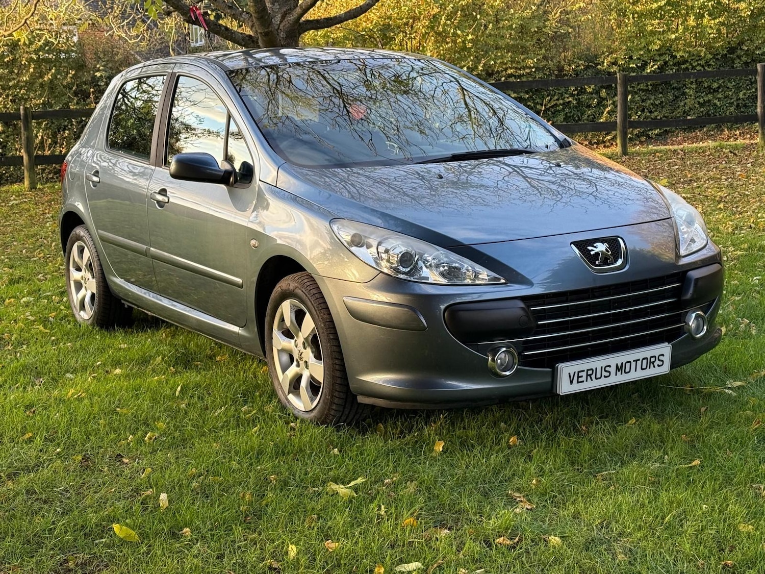 Used Peugeot 307 2006 for sale - 76381934: Photo 1
