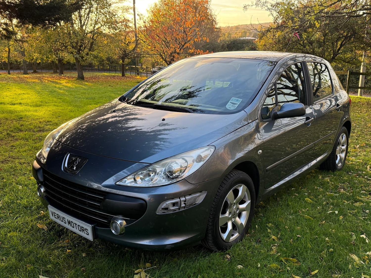 Used Peugeot 307 2006 for sale - 76381934: Photo 10
