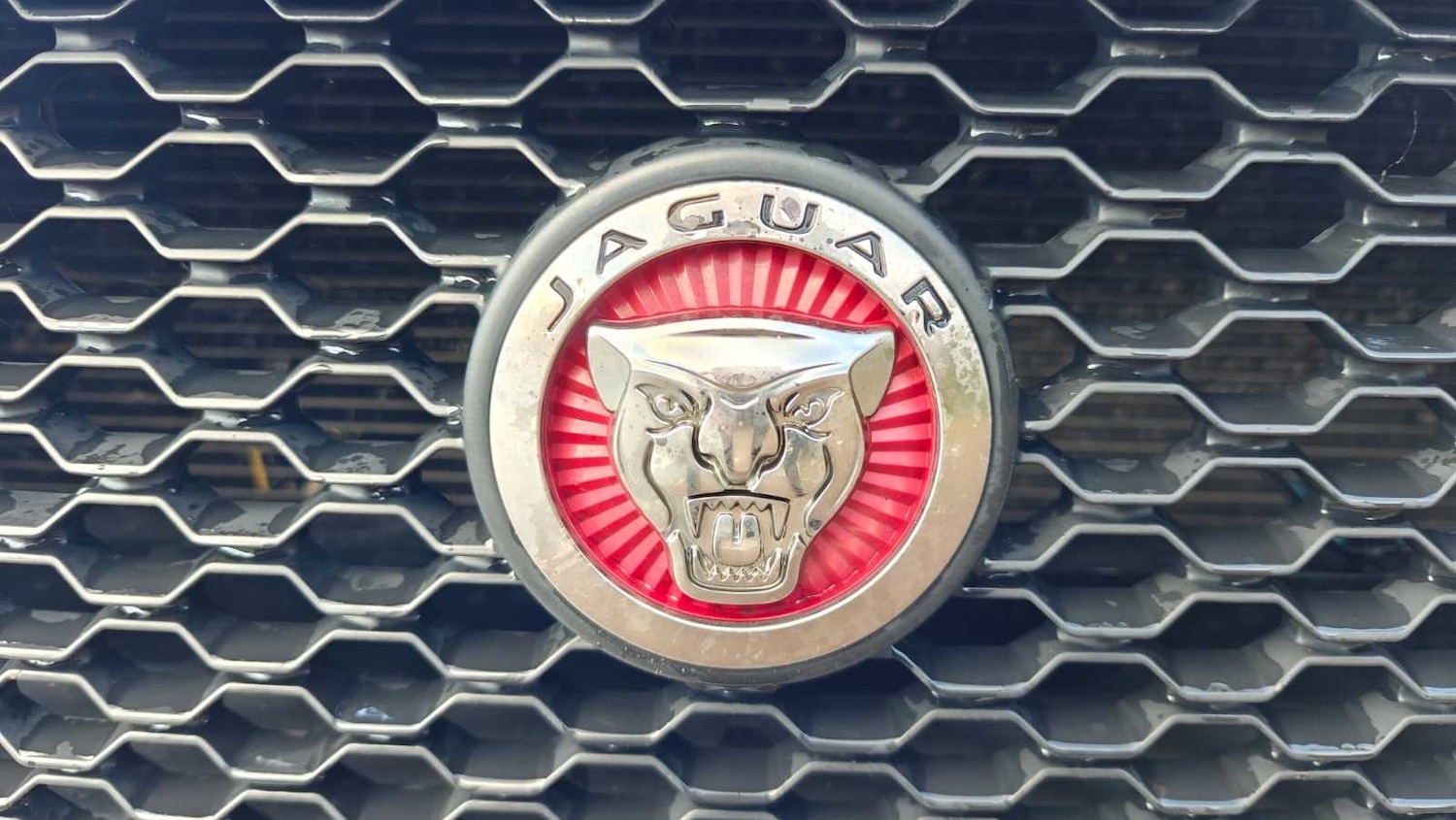 Used Jaguar XF 2019 for sale - 76540836: Photo 14