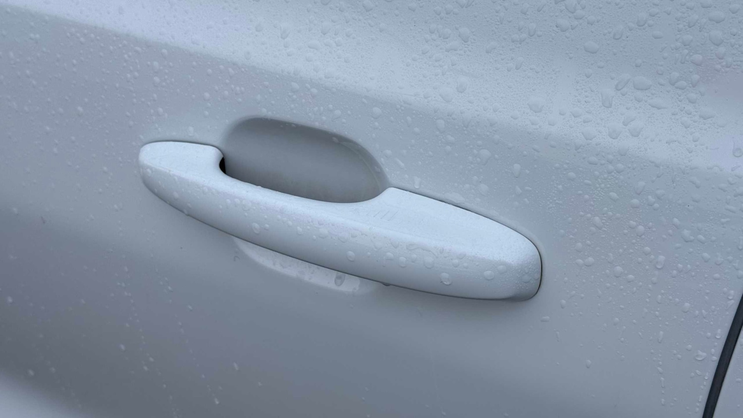 Used Ford Focus 2025 for sale - 76789267: Photo 12