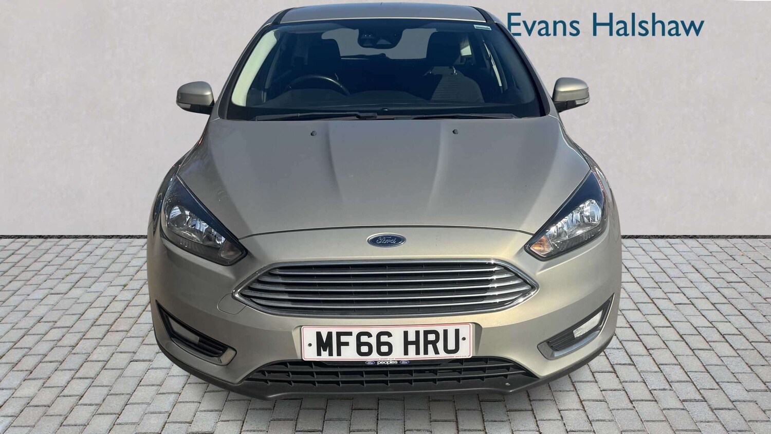 Used Ford Focus 2016 for sale - 77979596: Photo 6
