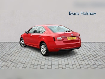 Used Skoda Octavia 2019 for sale - 79257395: Photo