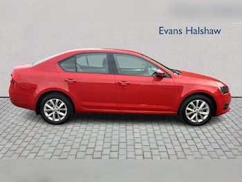 Used Skoda Octavia 2019 for sale - 79257395: Photo