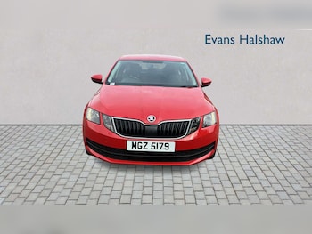Used Skoda Octavia 2019 for sale - 79257395: Photo