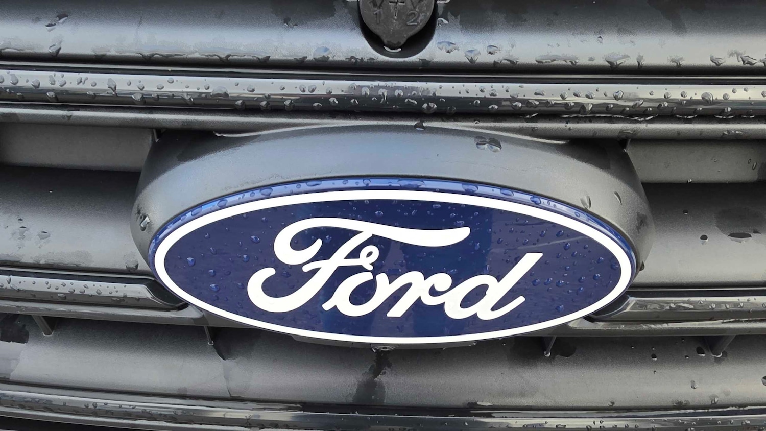 Used Ford Transit for sale - 78052134: Photo 20