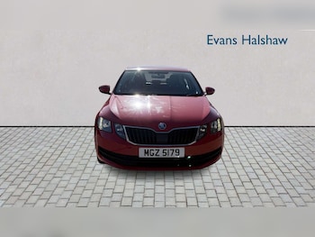 Used Skoda Octavia 2019 for sale - 77995859: Photo