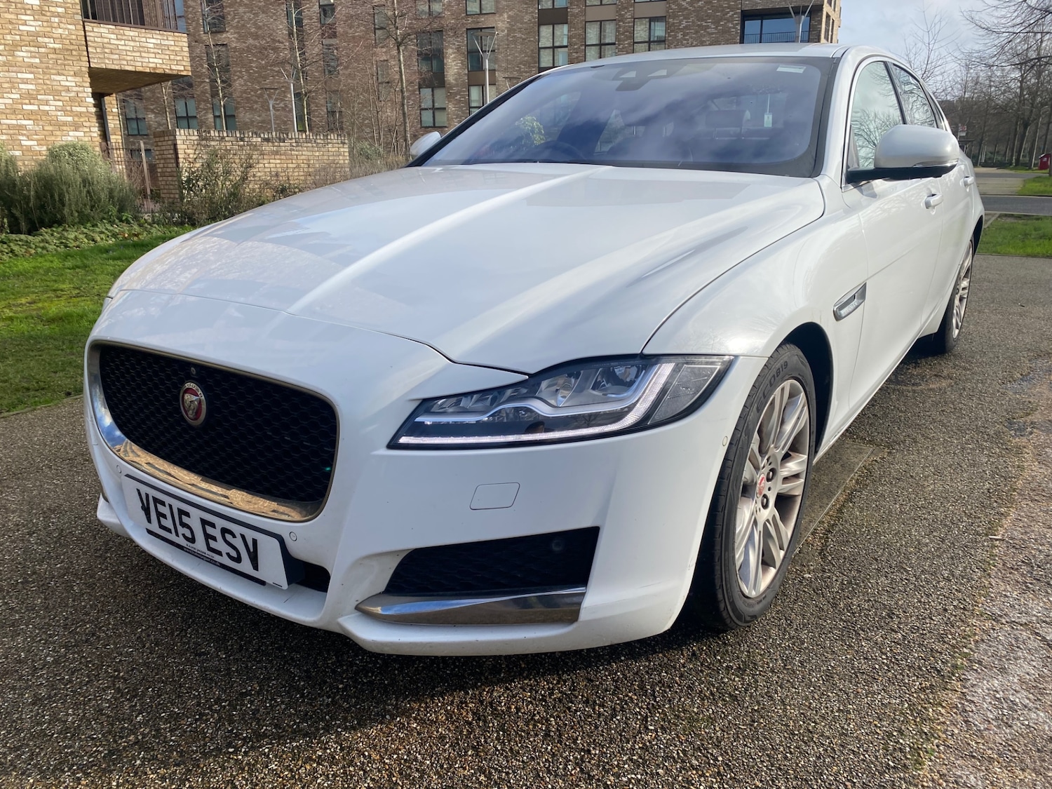 Used Jaguar XF 2015 for sale - 77367248: Photo 5