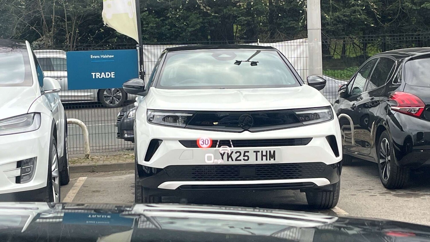 Used Audi A8 for sale - 78104660: Photo 17