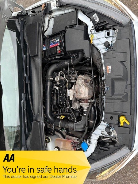 Used Ford Focus 2016 for sale - 77880722: Photo 31