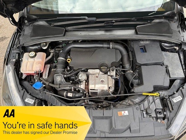 Used Ford Focus 2015 for sale - 77749358: Photo 31