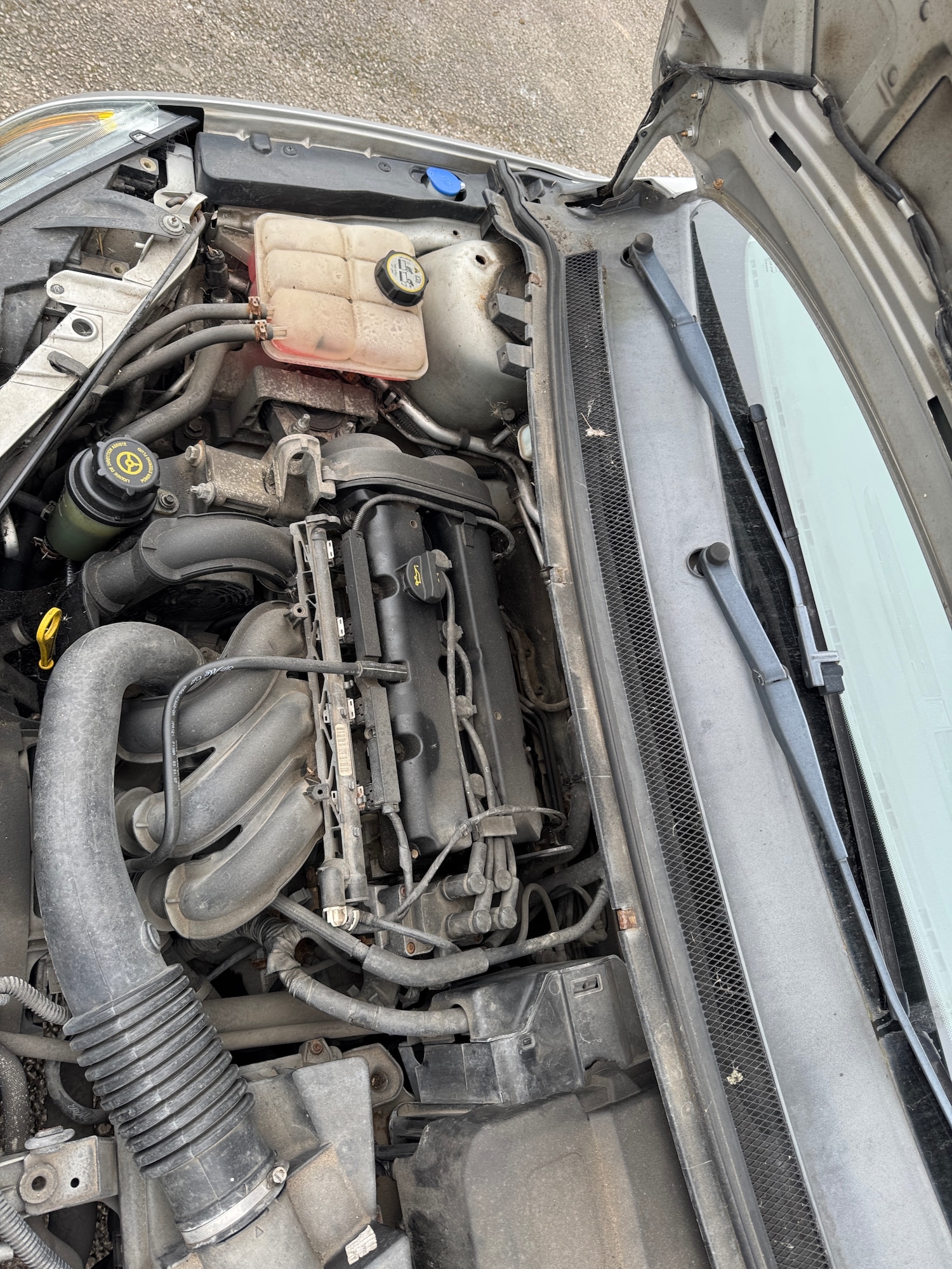 Used Ford Focus 2007 for sale - 77804406: Photo 16