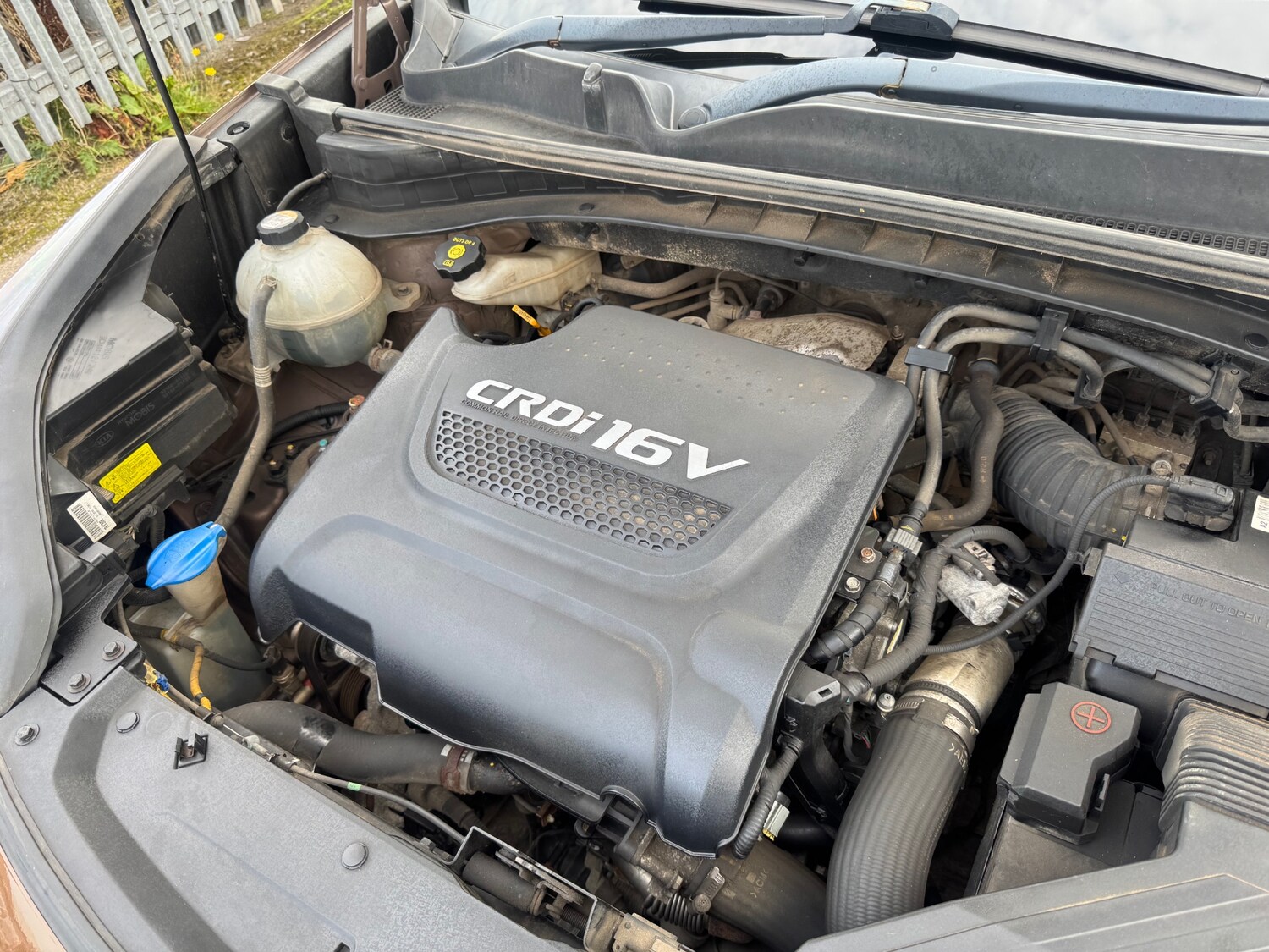 Used Kia Sportage 2017 for sale - 76144498: Photo 22