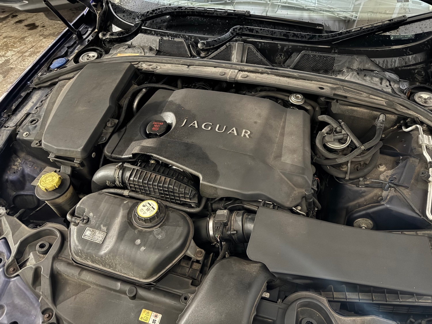 Used Jaguar XF 2009 for sale - 77617869: Photo 16