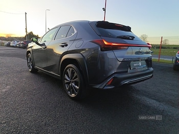 Used Lexus UX 2023 for sale - 77132187: Photo