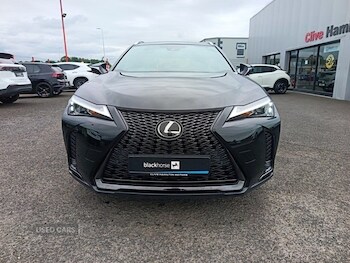 Used Lexus UX 2023 for sale - 78623654: Photo