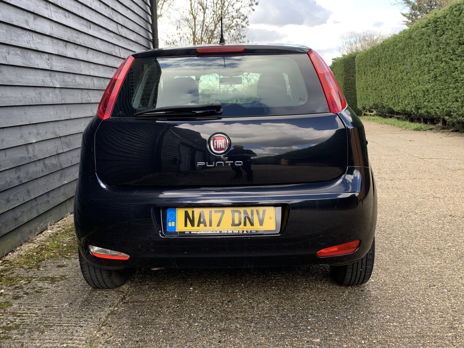 Used Fiat Punto 2017 for sale - 77906474: Photo 10