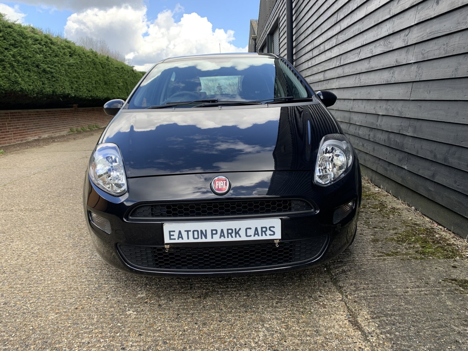 Used Fiat Punto 2017 for sale - 77906474: Photo 13