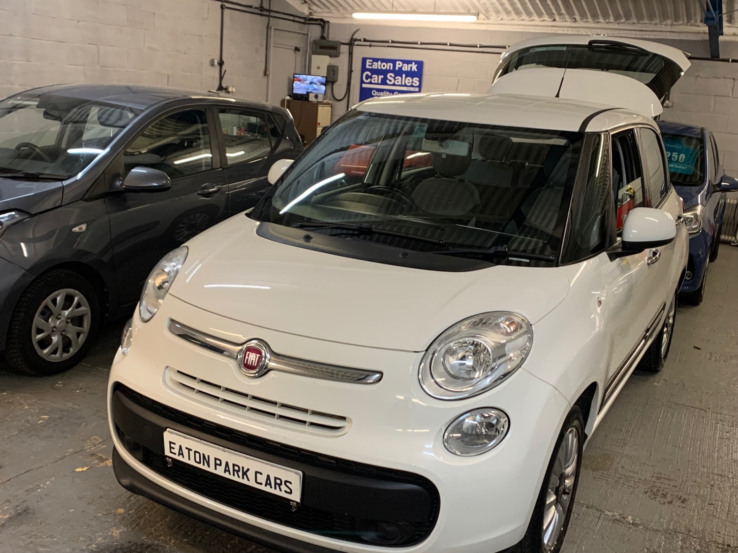 Used Fiat 500L 2016 for sale - 76257637: Photo 37