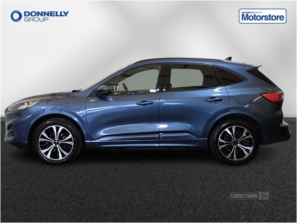 Used Ford Kuga 2024 for sale - 77306448: Photo 15