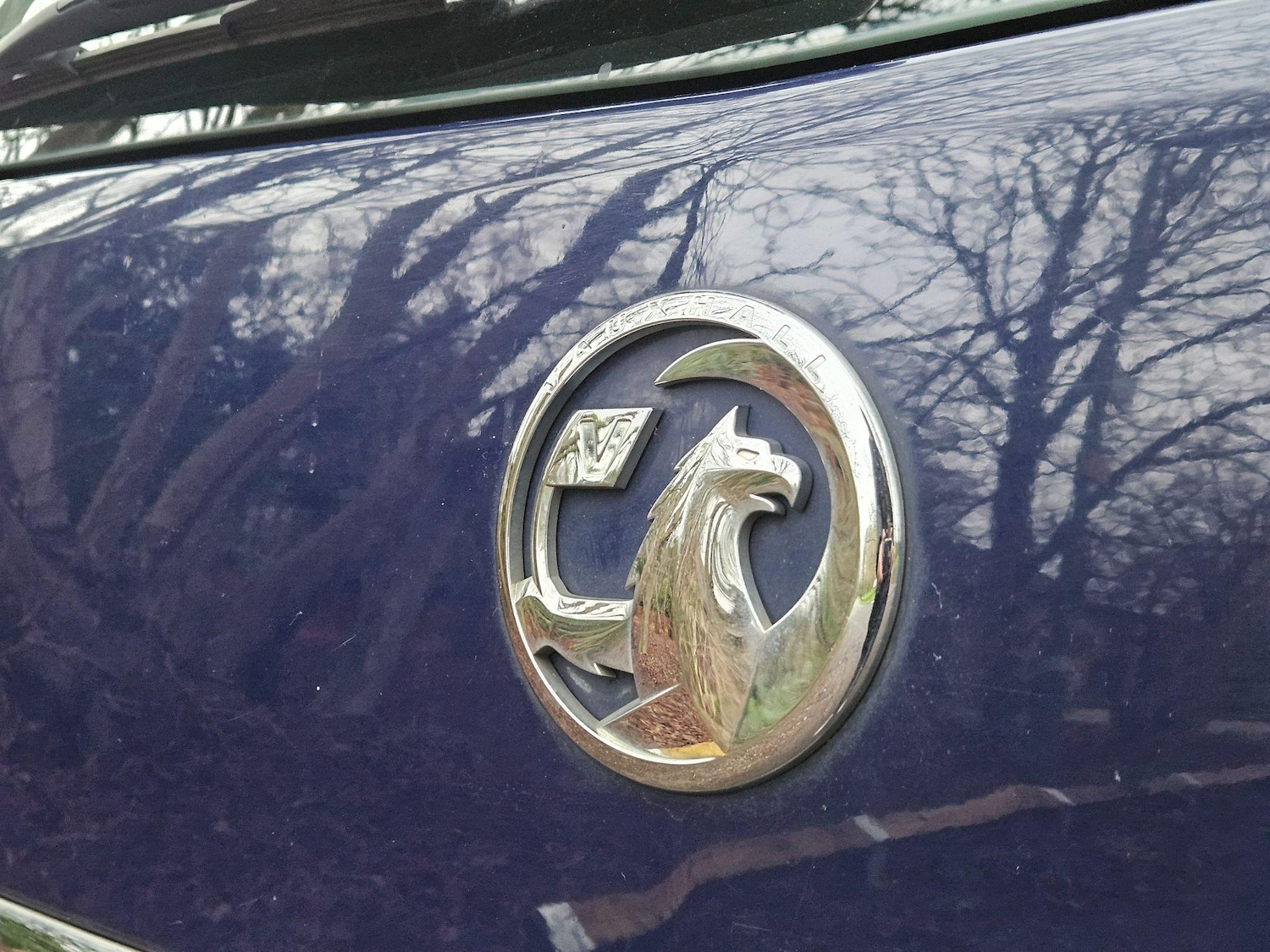 Vehicle 31