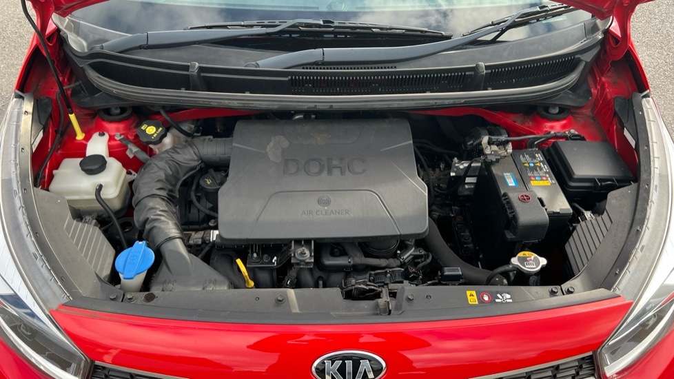 Used Kia Picanto 2017 for sale - 76901265: Photo 16