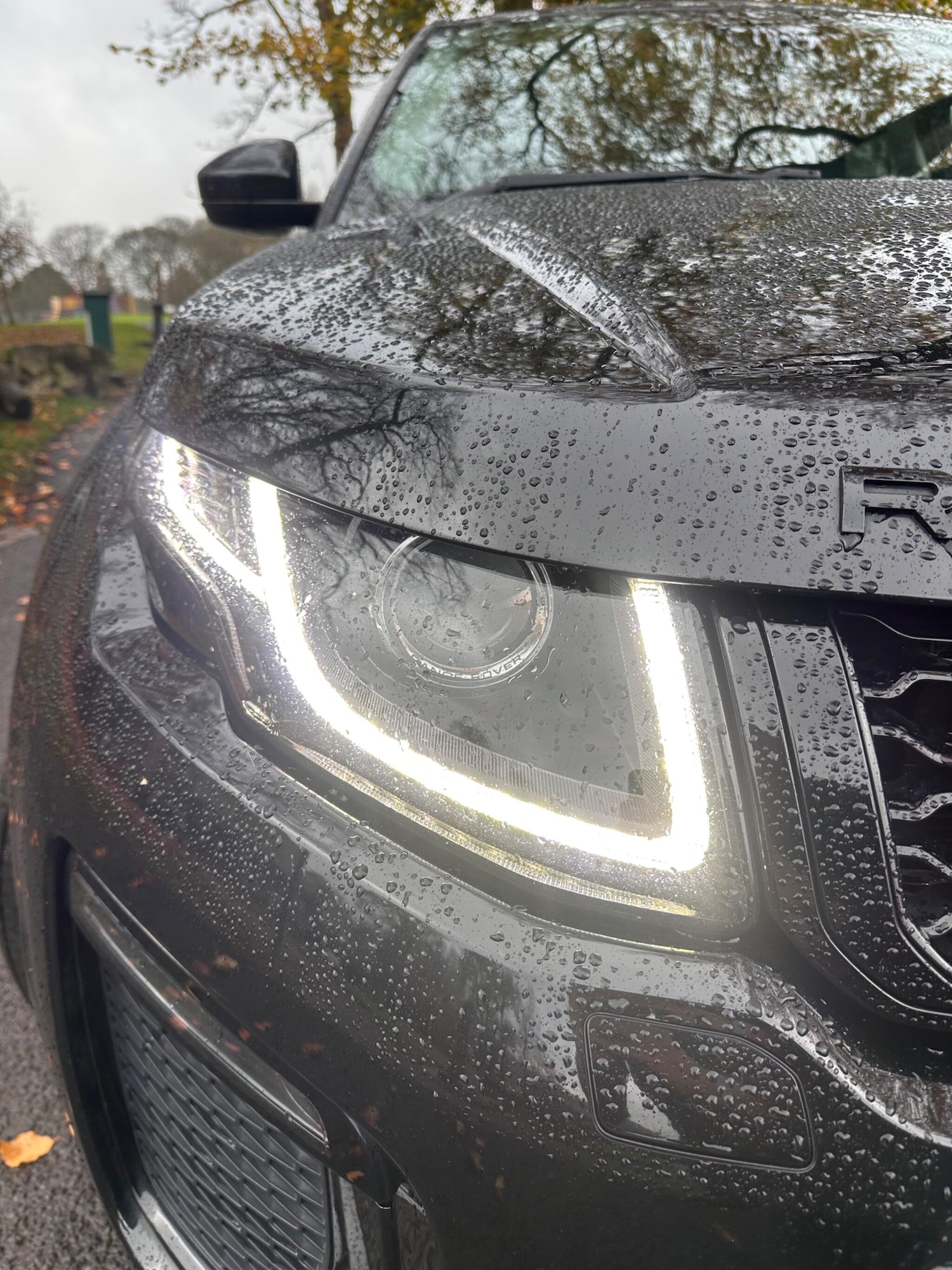 Used Land Rover Range Rover Evoque 2016 for sale - 76512935: Photo 7