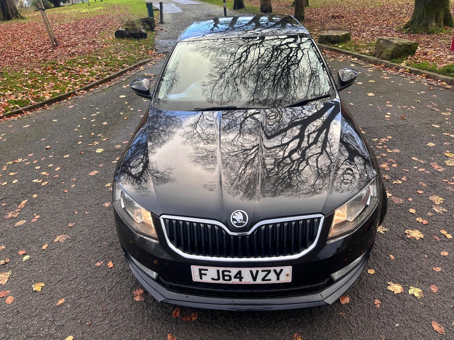 Used Skoda Octavia 2014 for sale - 77646562: Photo 7