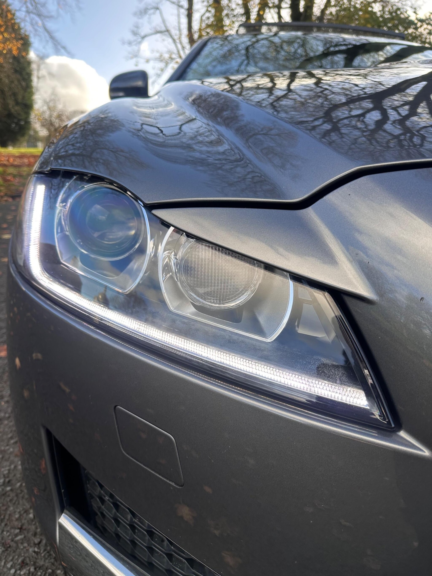 Used Jaguar XF for sale - 76573495: Photo 8