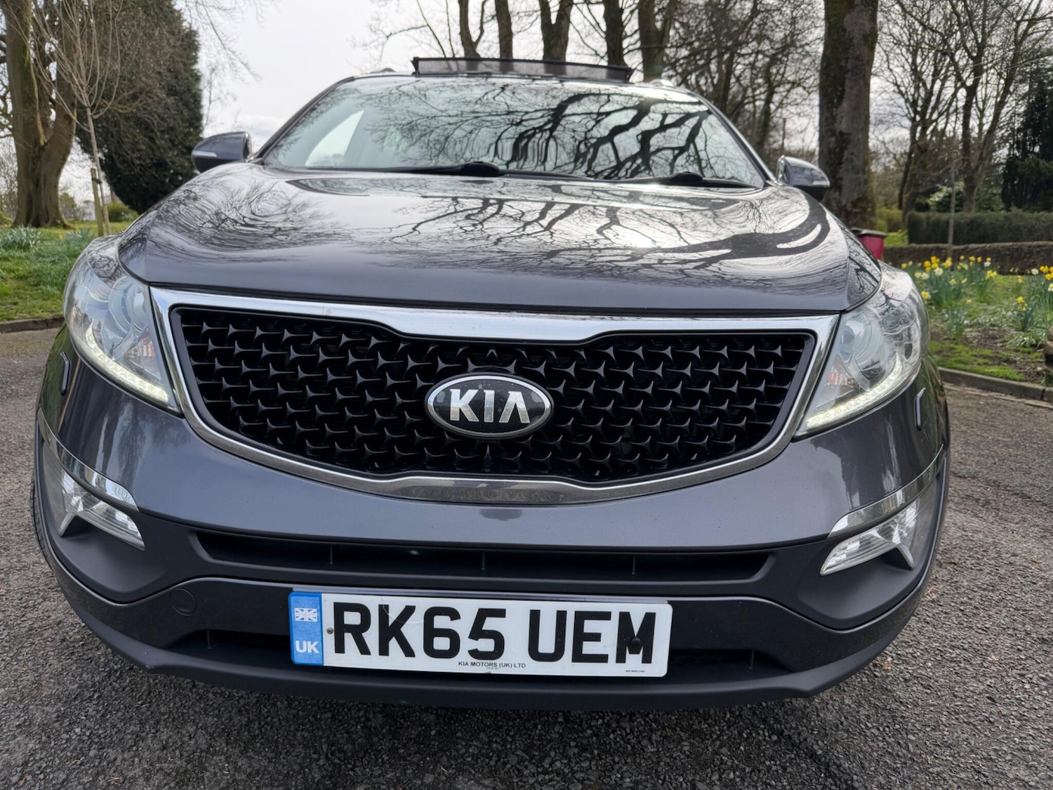 Used Kia Sportage 2015 for sale - 78033671: Photo 6