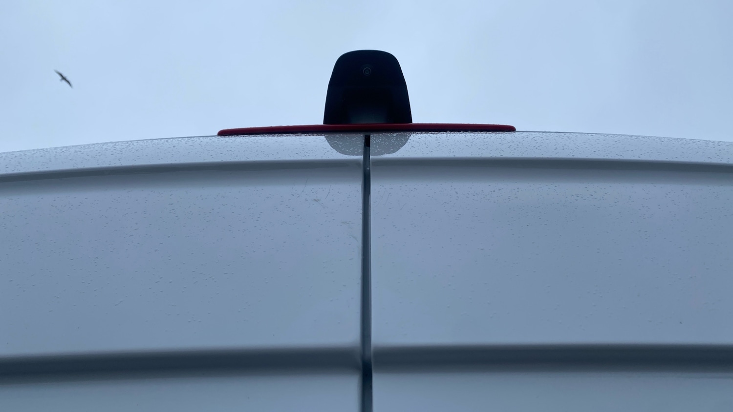 Used Mercedes-Benz Sprinter 2024 for sale - 77351126: Photo 11