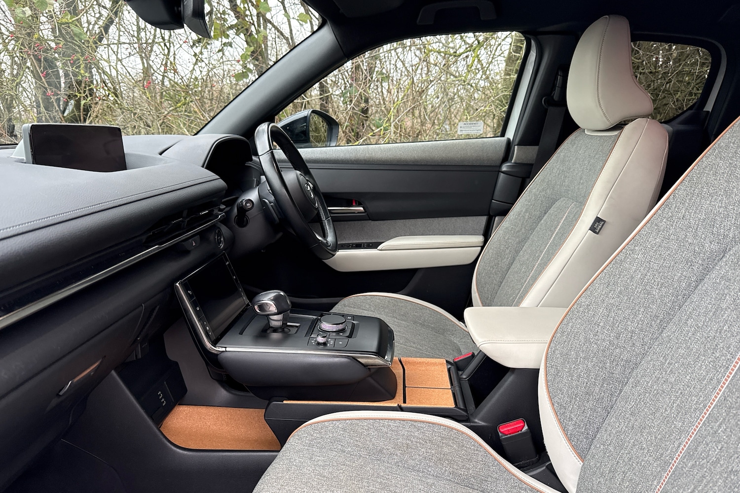 Used Mazda MX-30 2021 for sale - 78036644: Photo 6