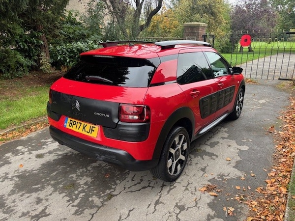 Used Citroen C4 Cactus 2017 for sale - 76268608: Photo 4