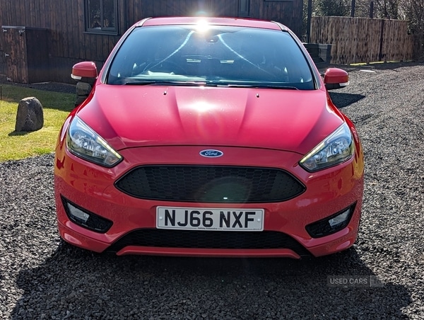 Used Ford Focus 2016 for sale - 78128474: Photo 2