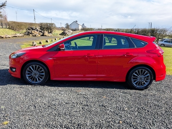 Used Ford Focus 2016 for sale - 78128474: Photo 6