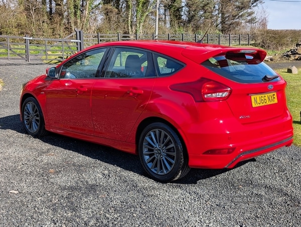 Used Ford Focus 2016 for sale - 78128474: Photo 7
