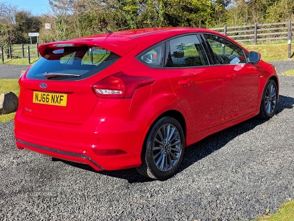 Used Ford Focus 2016 for sale - 78128474: Photo 8
