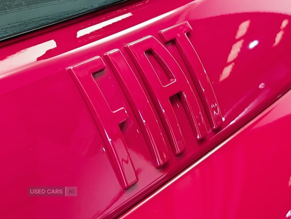 Used Fiat 600 for sale - 77560398: Photo 11