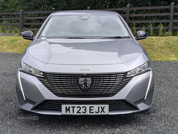 Used Peugeot 308 2023 for sale - 79013544: Photo