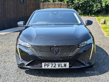 Used Peugeot 308 2023 for sale - 79280535: Photo