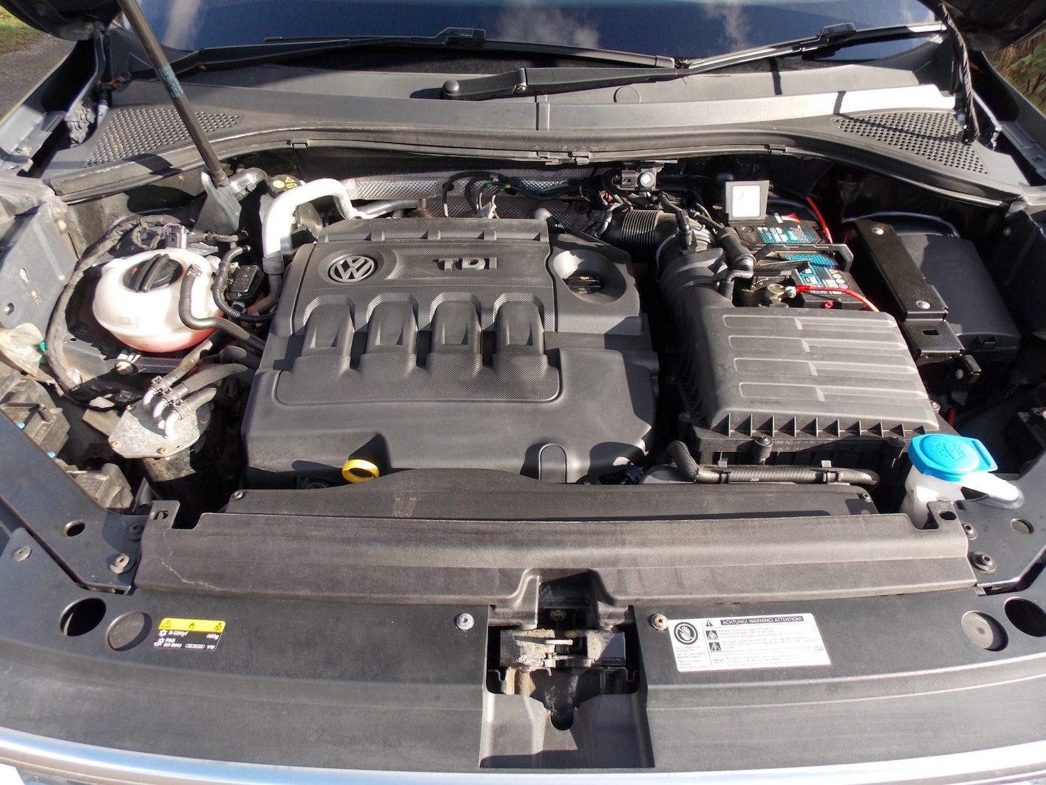 Used Volkswagen Tiguan 2016 for sale - 76300843: Photo 8