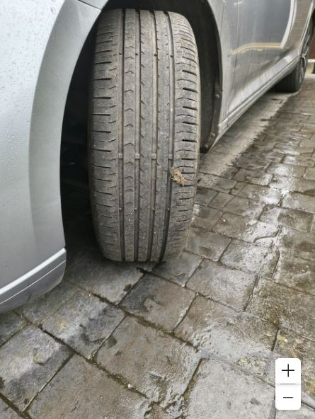 Used Volkswagen Passat 2019 for sale - 77974028: Photo 16