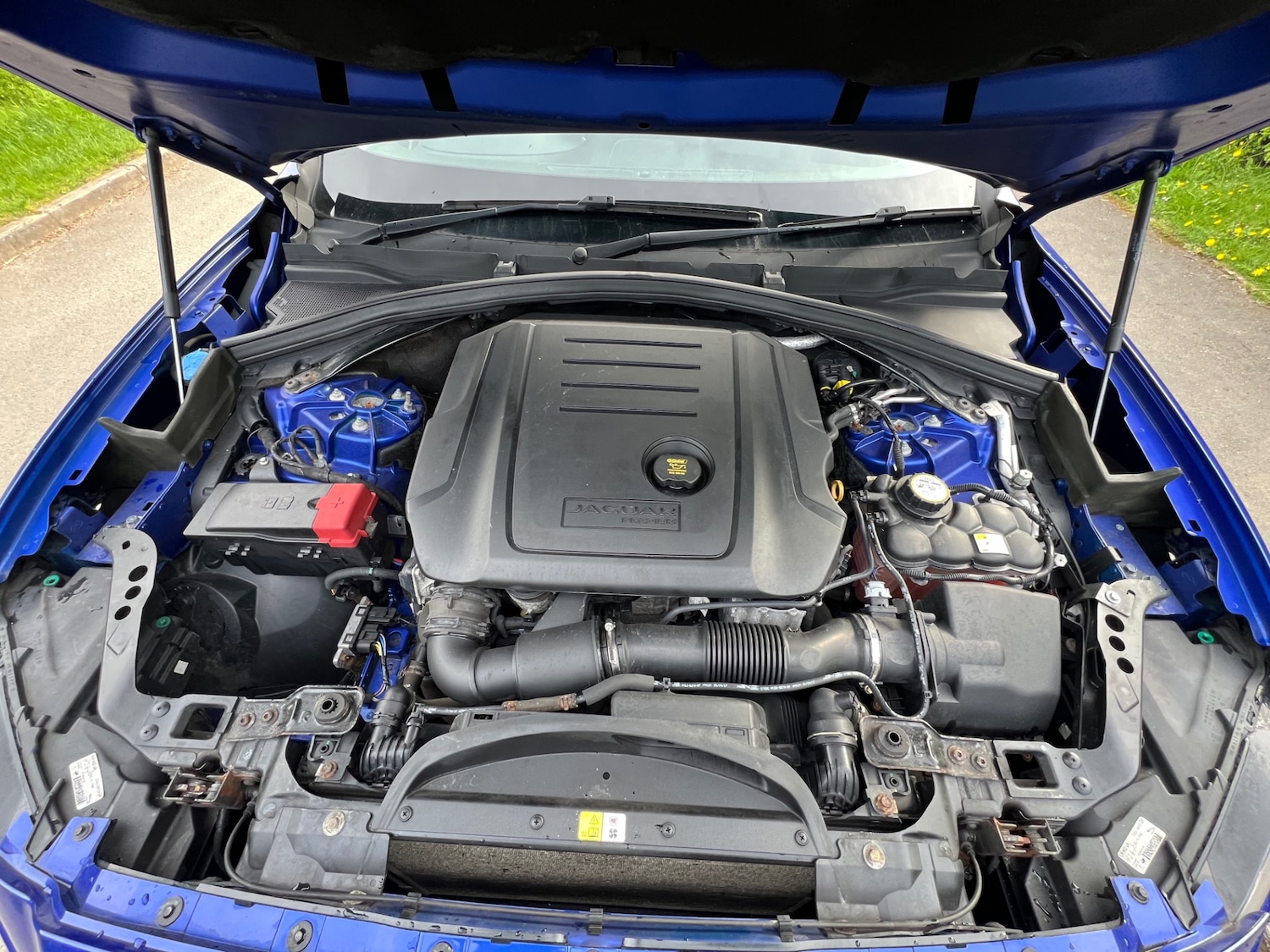 Used Jaguar F-Pace 2017 for sale - 77897399: Photo 18