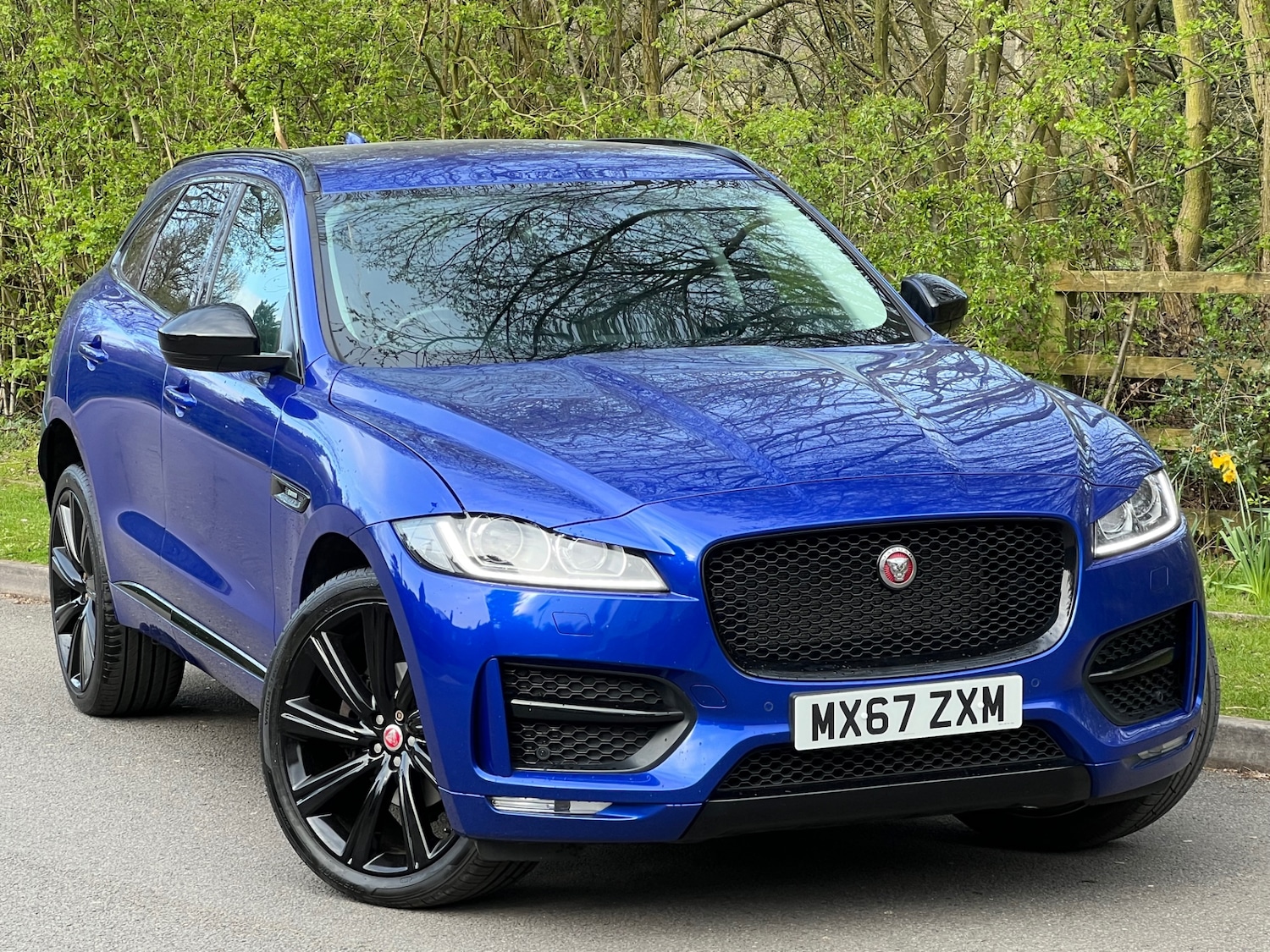 Used Jaguar F-Pace 2017 for sale - 77897399: Photo 3
