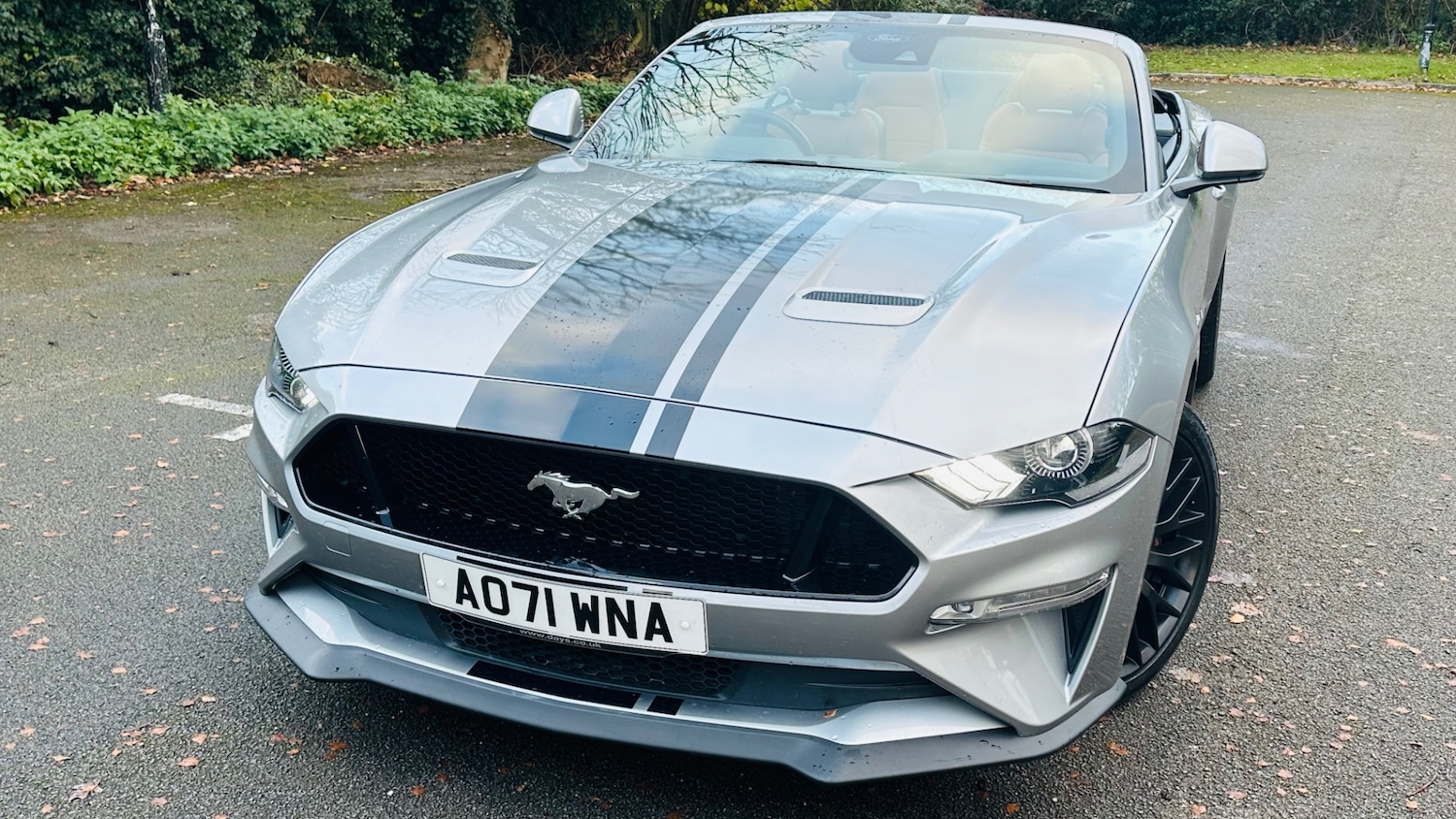 Used Ford Mustang 2022 for sale - 76739014: Photo 11