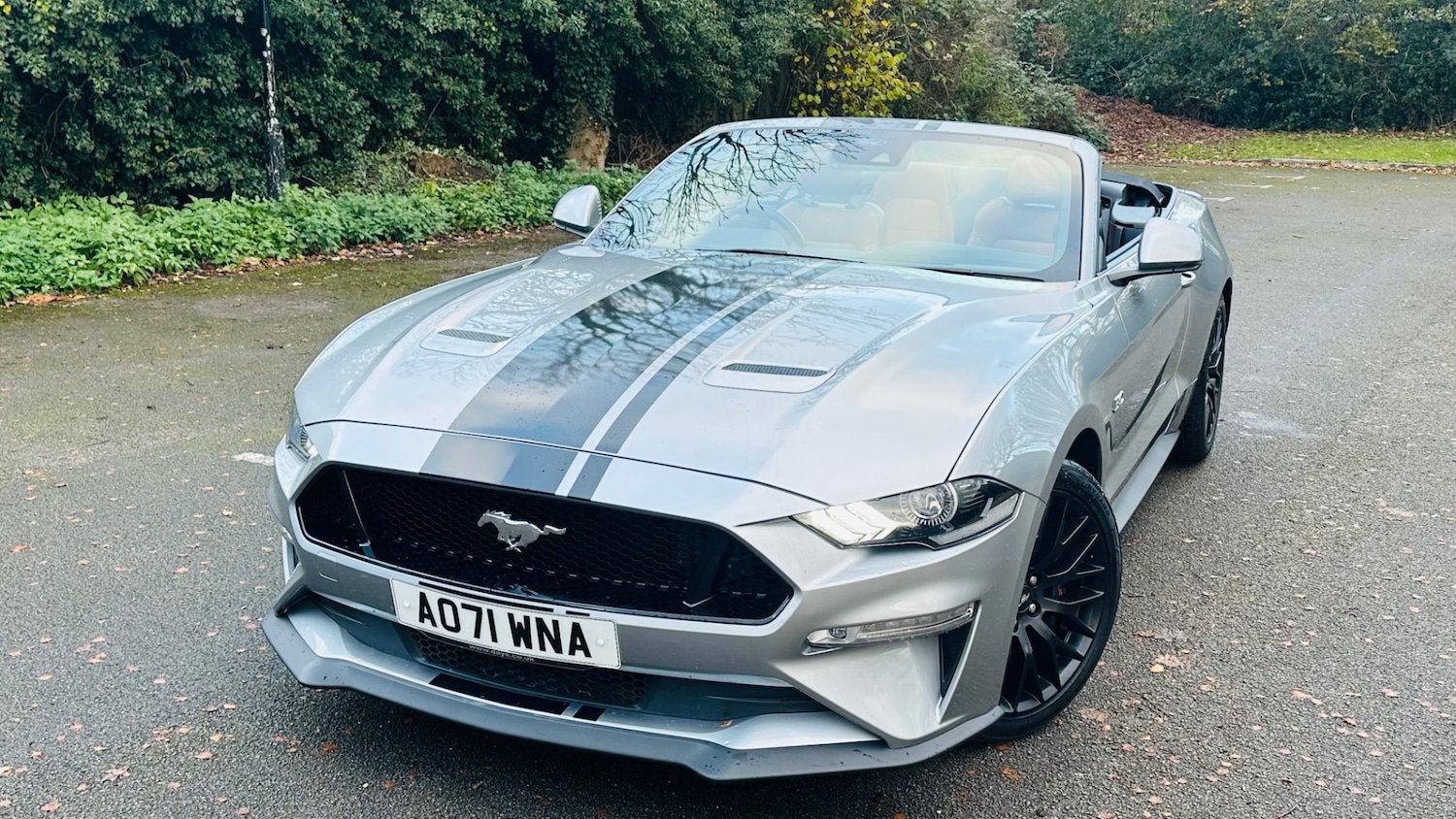 Used Ford Mustang 2022 for sale - 76739014: Photo 14