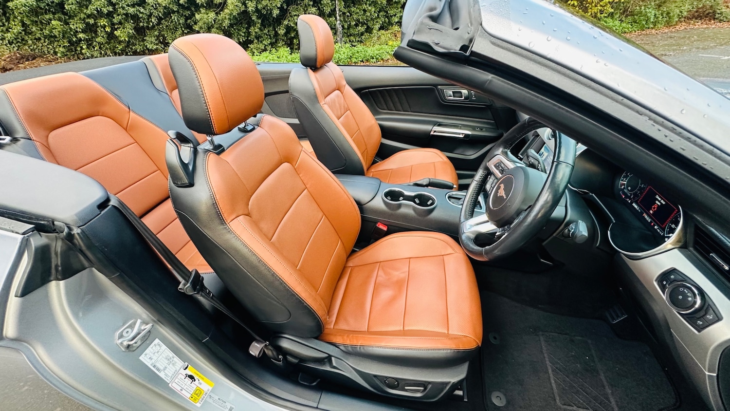 Used Ford Mustang 2022 for sale - 76739014: Photo 15