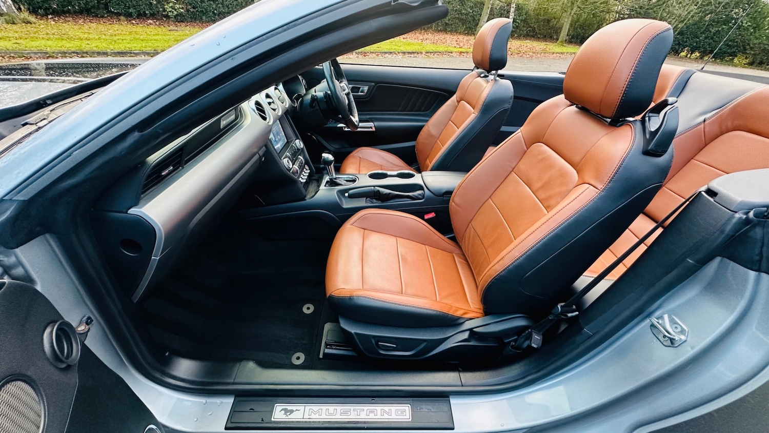 Used Ford Mustang 2022 for sale - 76739014: Photo 16